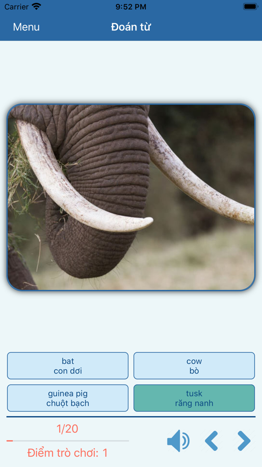#6. English Speaking and Listening (iOS) Podle: siarhei yatsuk