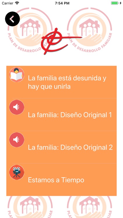 Plan de Desarrollo Familiar screenshot-3