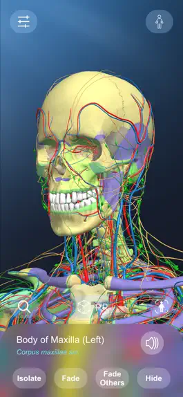 Game screenshot AR Anatomy apk