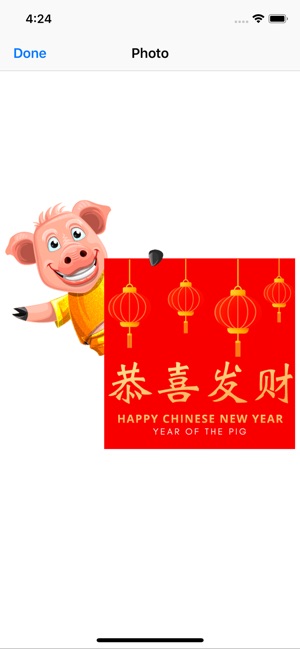 Golden Chinese Pig Year 2019(圖3)-速報App