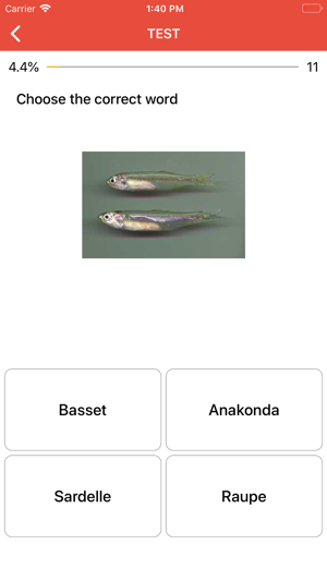 Beginner German - Smart Choice(圖5)-速報App