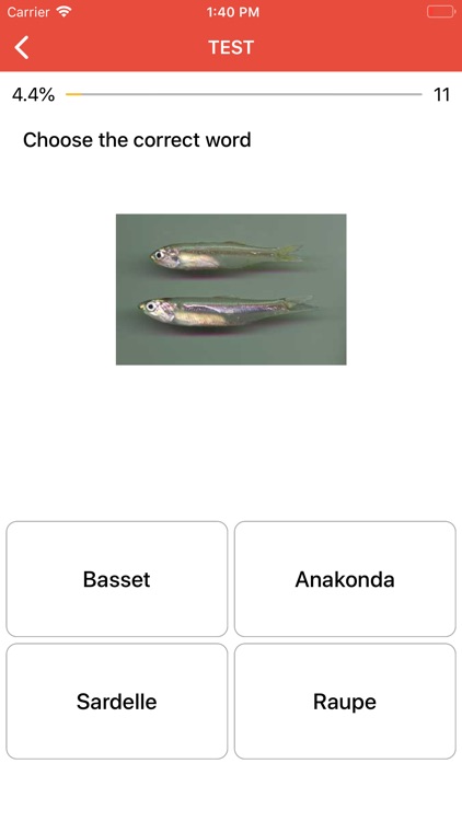 Beginner German - Smart Choice screenshot-4