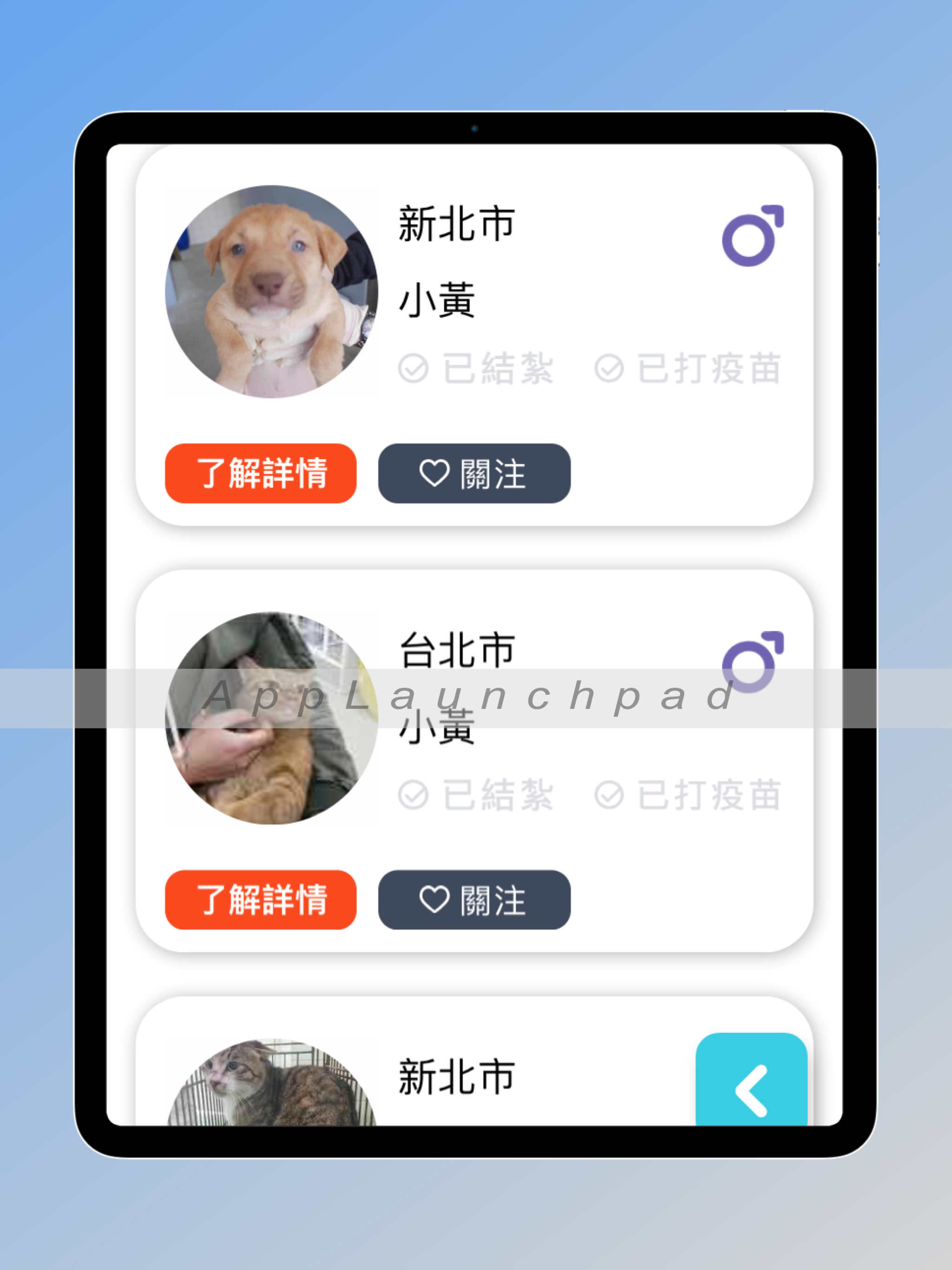 領養浪我回家: 救救流浪貓狗 screenshot 10