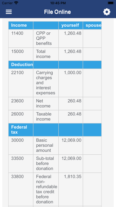 eFile Canadian Tax Return Screenshot