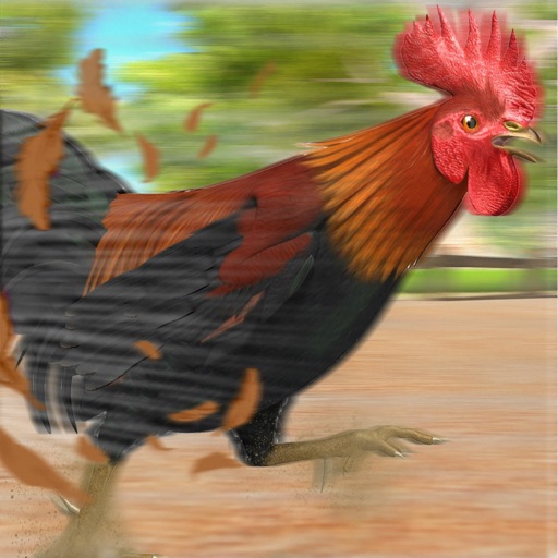 Farm Chicken - Roaster Racing iOS App