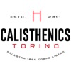 Calisthenics Torino