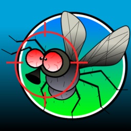 Fly Hunt - İngilizce Cümleler