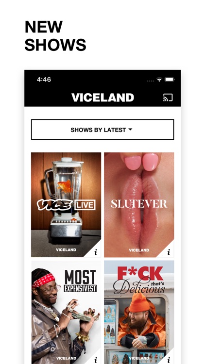 VICELAND