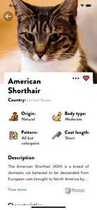 Cats Pedia: Breed identifier screenshot #2 for iPhone