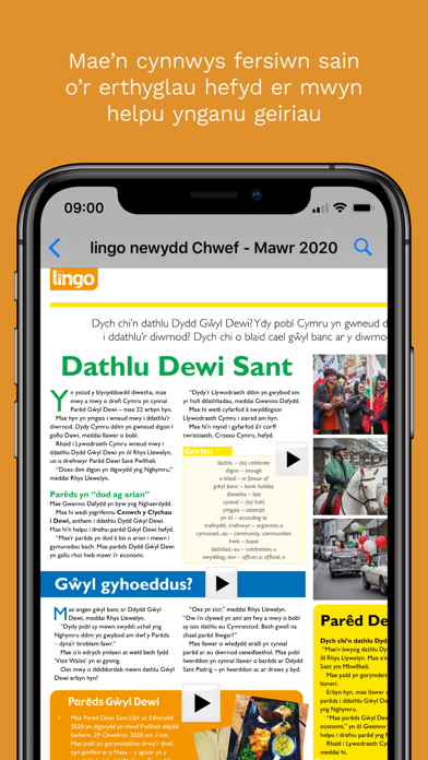 apGolwg Screenshot