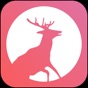 Elk Calls & Hunting Sounds app download