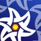 iOrnament Pro is is a summit meeting of structure, beauty and creativity
