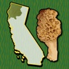 California NW Mushroom Forager icon