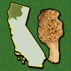 California NW Mushroom Forager - GeoPOI LLC