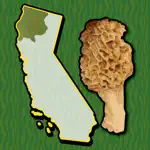 California NW Mushroom Forager App Problems
