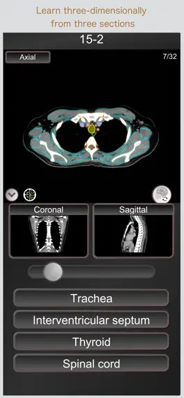 Game screenshot CT PassQuiz Chest / MRI hack