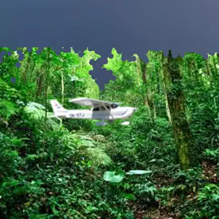 Krazy Plane Cheats
