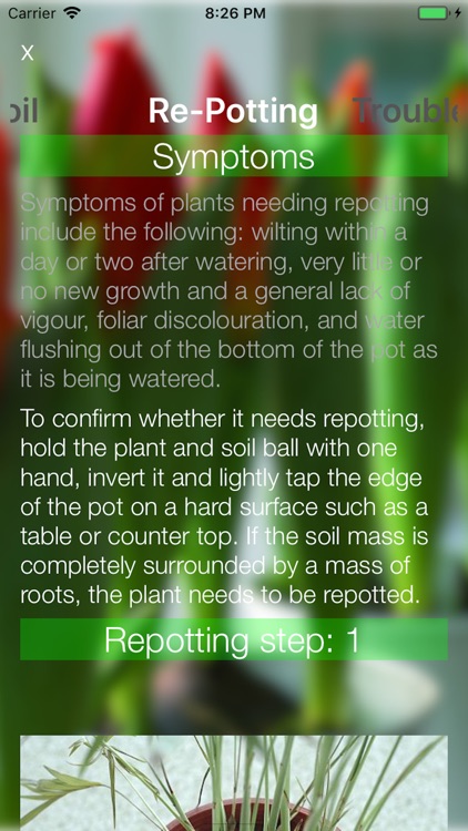 House Plants screenshot-7