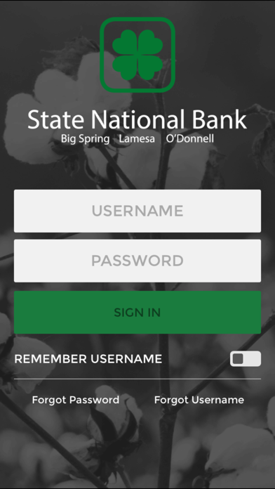 The State National Bank Screenshot