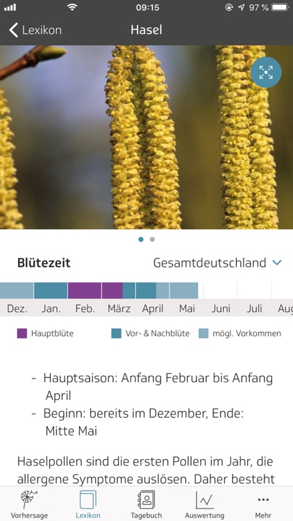 Husteblume screenshot-4