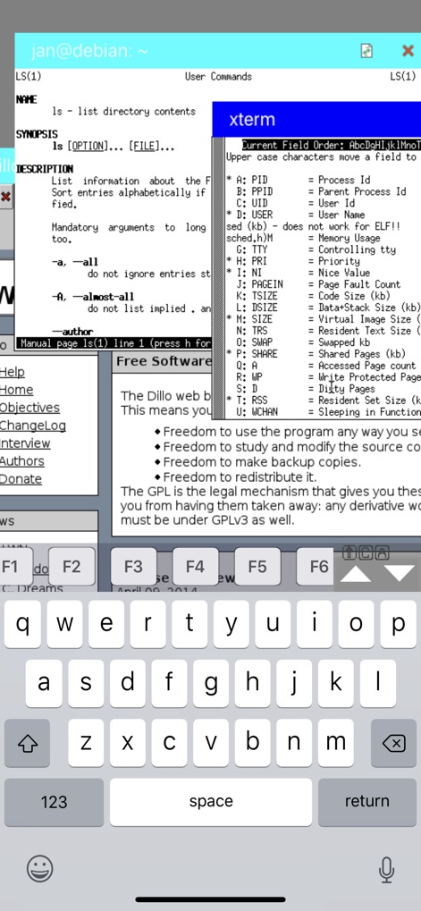 Mocha X11 - Business App | MWM