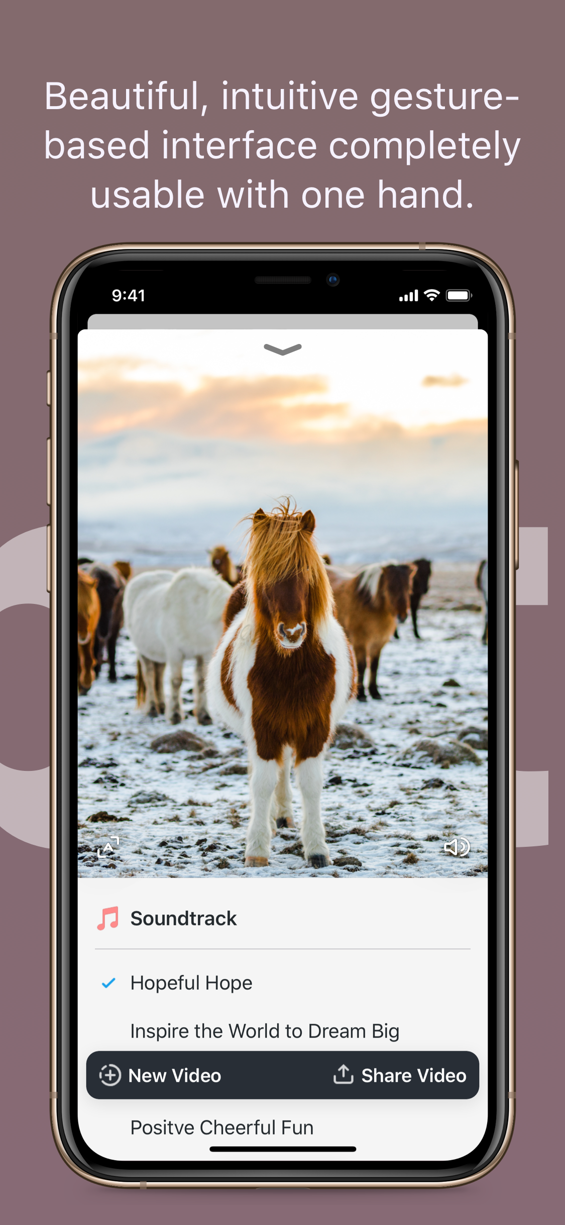 Vibe Camera