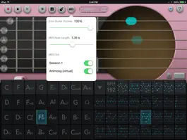 Game screenshot Echo Guitar™ Pro hack