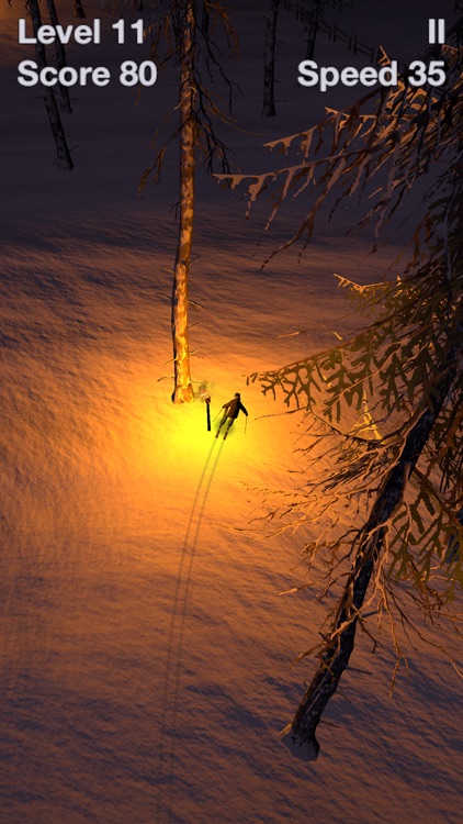 Alpine Ski III screenshot-3