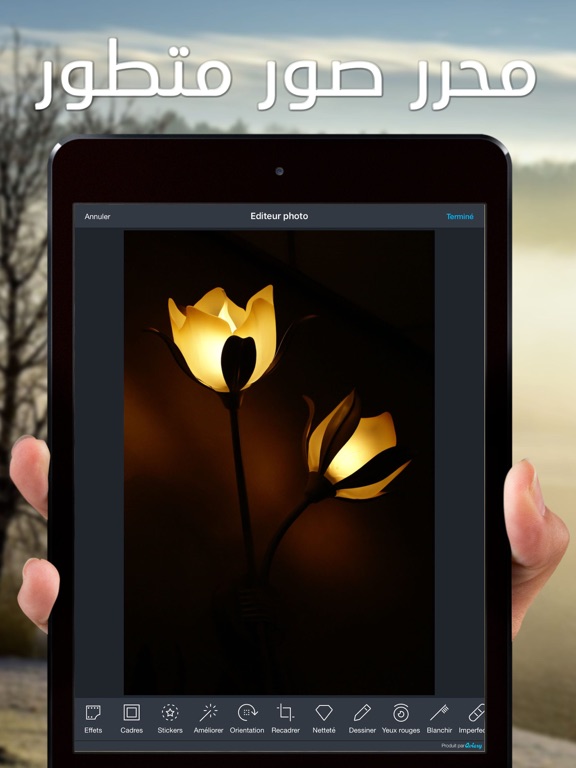 فرشاتي بلس الكتابة على الصور iPad screenshot 4 - Photo & Video app