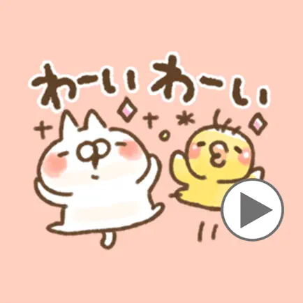 cat and rabbit a Cheats