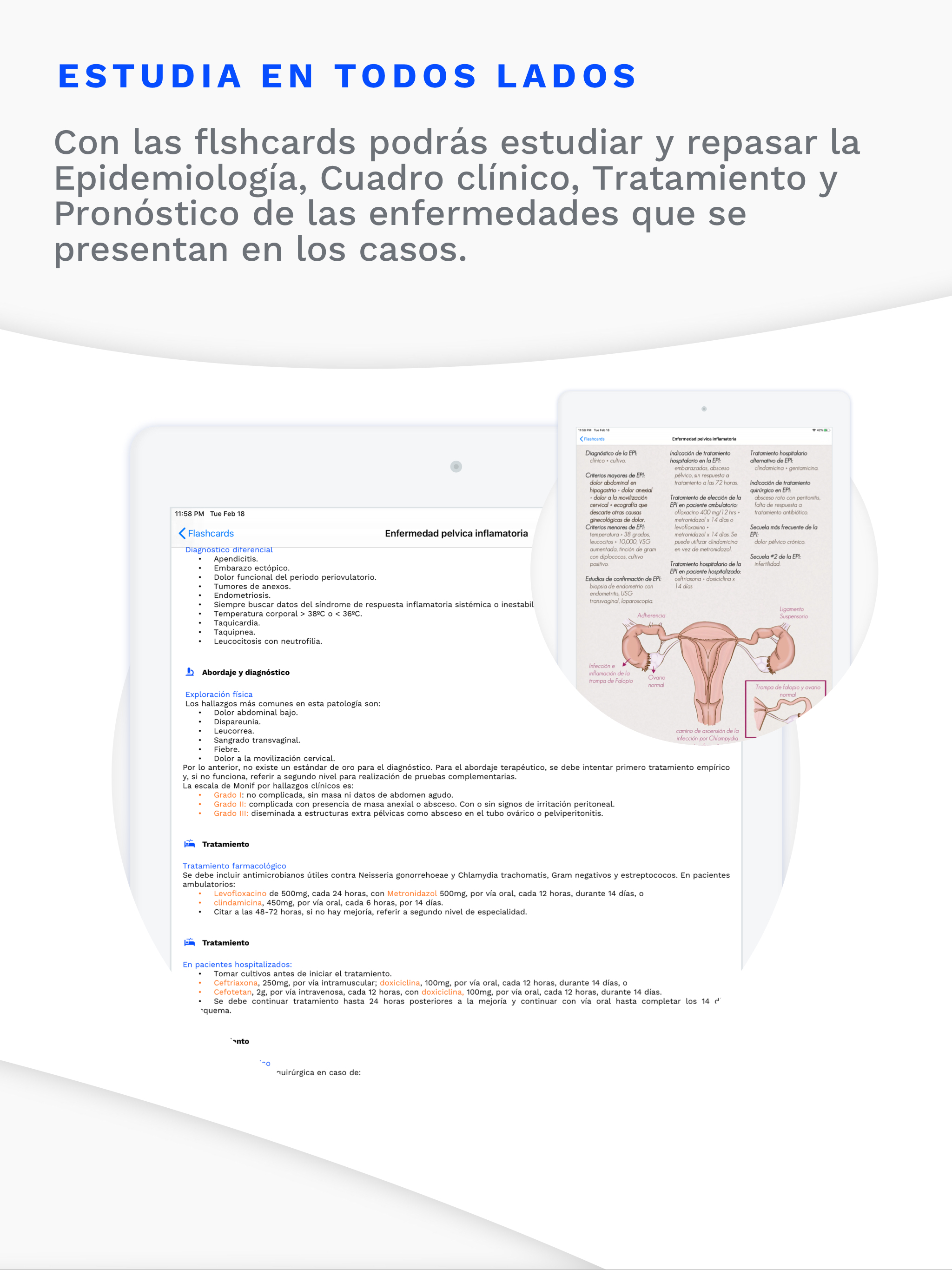 Estudio Medicina