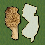 Download New Jersey Mushroom Forager app