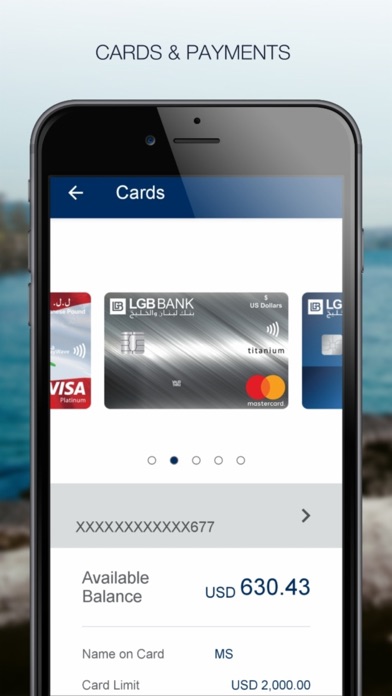 LGB BANK SAL Screenshot