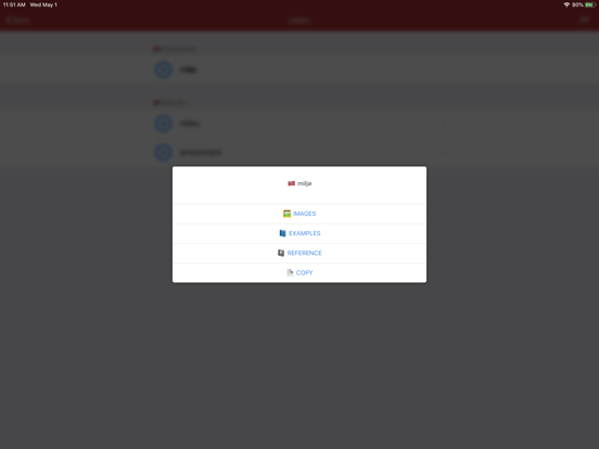 Norwegian Dictionary - offline iPad screenshot 4 - Reference app