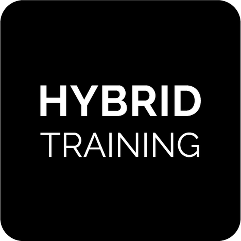 Hybrid-Training