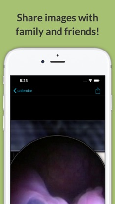 See Baby Pregnancy Guide screenshot 2