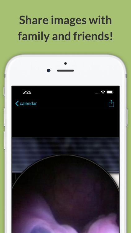 See Baby Pregnancy Guide