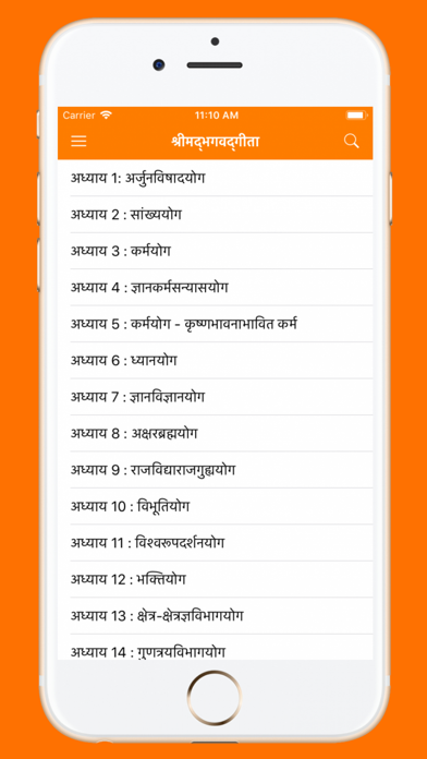 Bhagavad Gita in Hindi App Screenshot