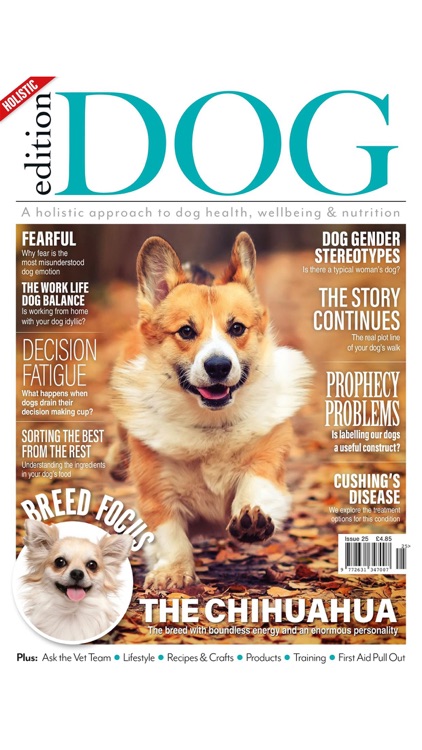 Edition Dog Magazine