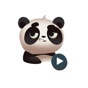 Panda Stickers (Animated) app download