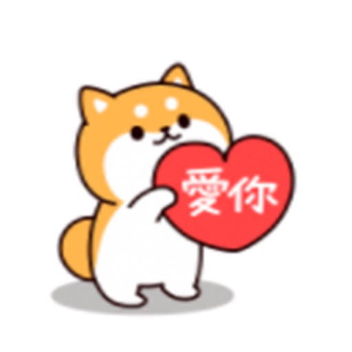 可愛的柴二