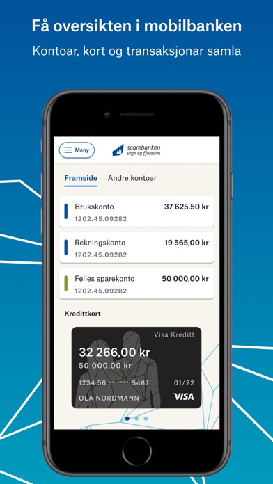 Mobilbank SSF Screenshot