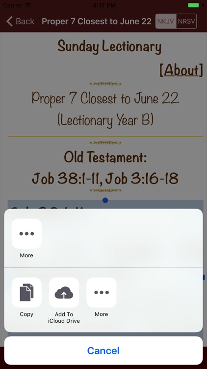 Sunday Lectionary screenshot-4