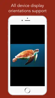 oceanian tv - tv d'océanie hd айфон картинки 4