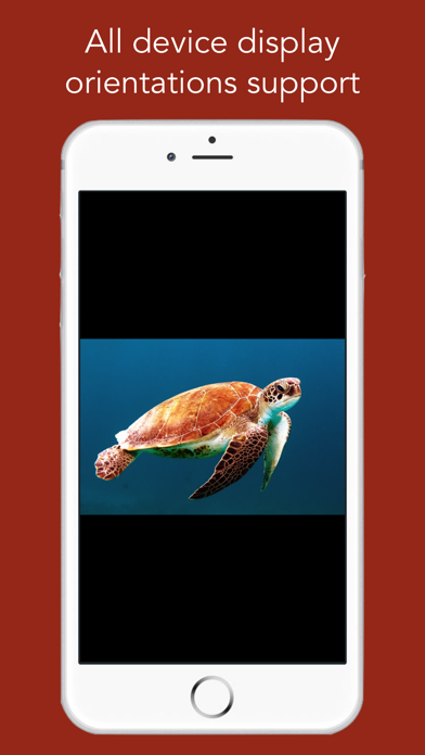 How to cancel & delete Oceanian TV - TV d'Océanie HD from iphone & ipad 4