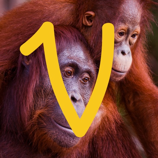 Virry game: Learn wild animals Icon