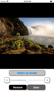 change photo/image to woodcut! iphone screenshot 2