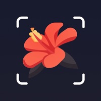 Reconnaitre fleurs et plantes! pour PC