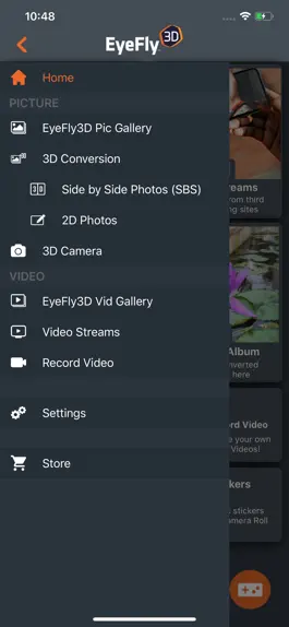 Game screenshot EyeFly3D hack