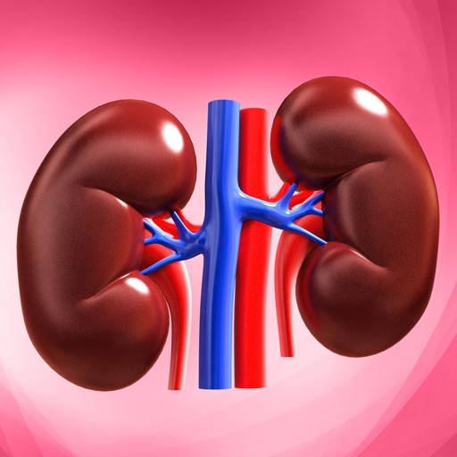 Learn Kidney Anatomy icon
